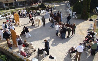 Atención Centrada en la Persona