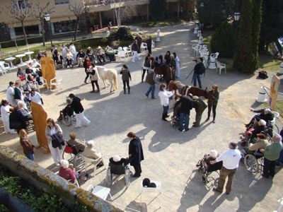 Atención Centrada en la Persona