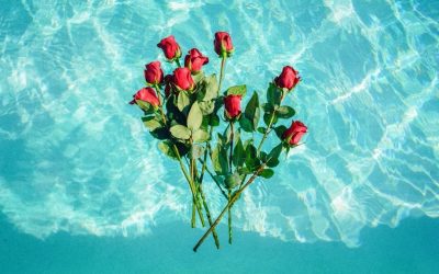 Preparando Sant Jordi